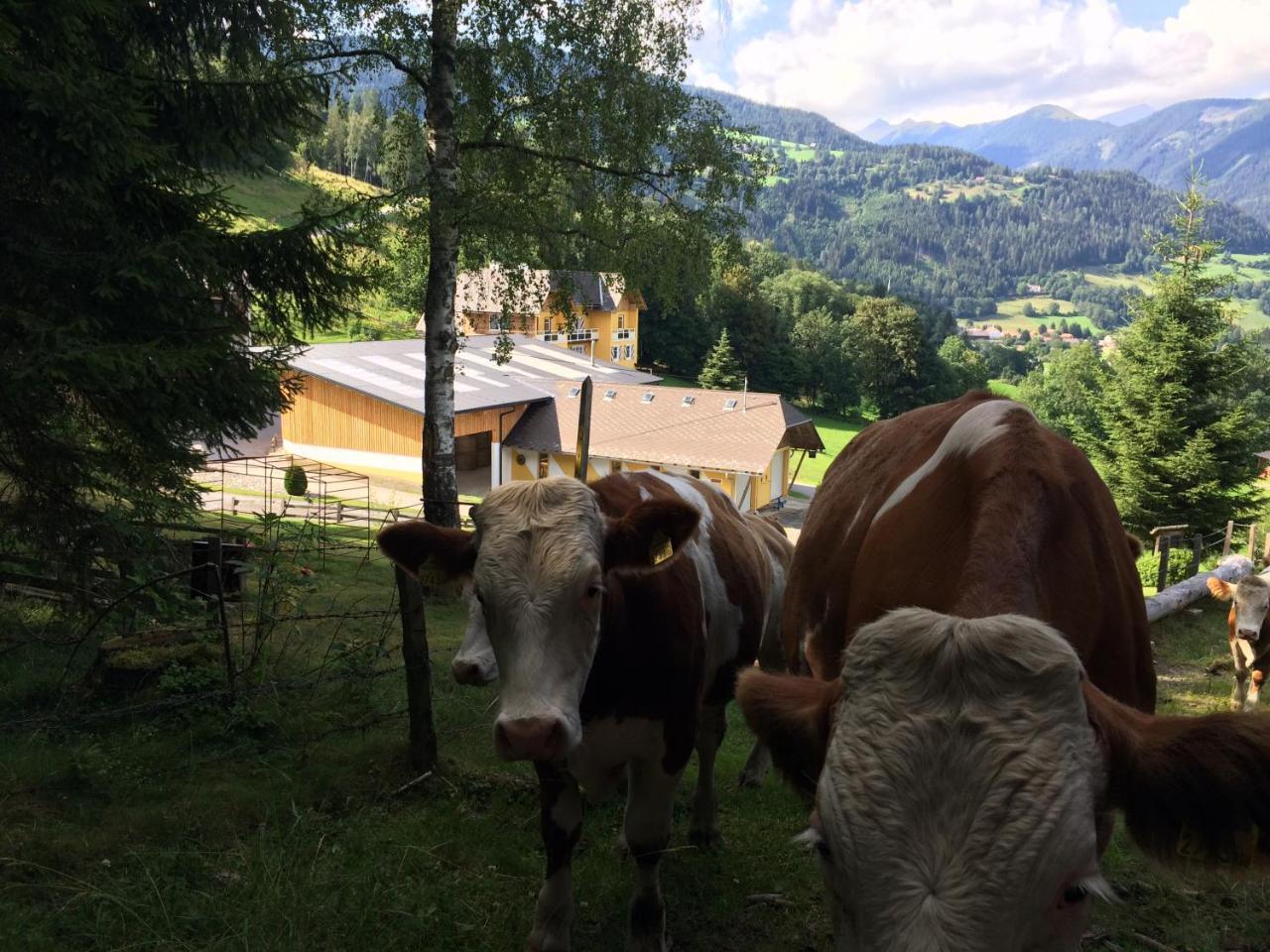 Appart Soelkhof Schöder Buitenkant foto